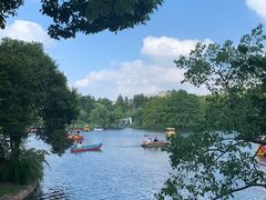 -上海共青森林公园