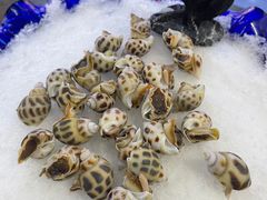 -蚝得喜海鲜(东城店)