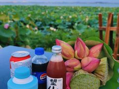 -七的湖·晚芳亭·阳澄湖农家菜·大闸蟹(莲花岛店)