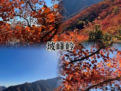 -Catail前苑(前门大街店)