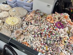-凤凰岛度假酒店-海鲜自助餐厅