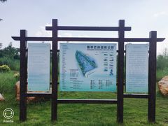 -芒洲湿地公园