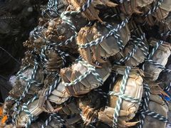 -八仙台服务区-停车场