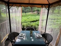 -野蔓果·山野菜(西湖景区·龙井茶田店)