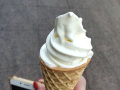 -蜜雪冰城(新华路店)