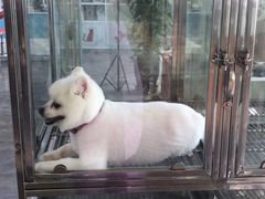 -暖阳宠物医院·犬猫康复中心·骨科