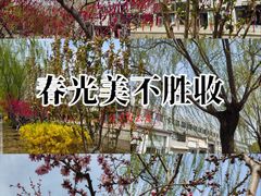 -元大都城垣遗址公园