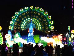 -金城公园