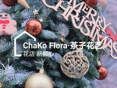 -ChaKo Flora ·茶子花艺 (市北店)