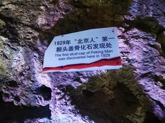 -北京周口店北京人遗址博物馆