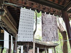 -上海佘山国家森林公园天马山园