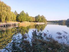 -大兴滨河森林公园