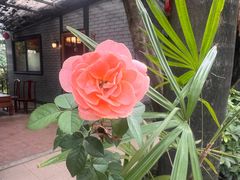 -绿雅居原生态农庄(小涌店)