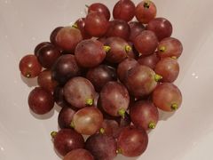 -乌兰湖畔草坪轻奢营地