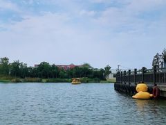 -上海长兴岛郊野公园