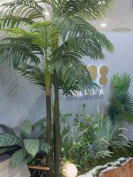 -八佰伴8008星级形象店