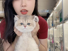 -lincat·猫舍(广州店)