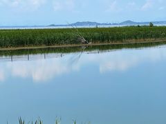 -野鸭湖国家湿地公园