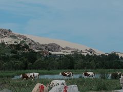 -玉龙沙湖景区