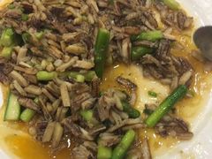 -梅龙镇酒家(南京西路总店)