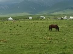 -新疆那拉提国家旅游度假区