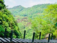 -溪口-滕头旅游景区