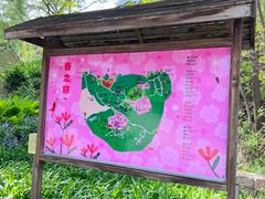 -云峰山自然风景区
