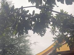 -大理地热国