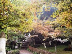 -岳麓山风景名胜区