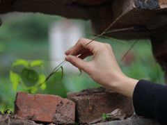 -黄桷坪涂鸦艺术街
