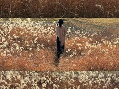 -汉长安城未央宫国家考古遗址公园