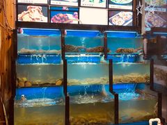-老东镇啤酒屋海鲜加工·蒸汽海鲜·海鲜烧烤(台东店)