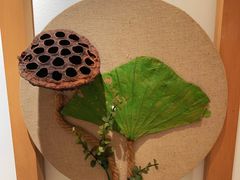 -左悦·艾灸调理·推拿按摩·精油SPA(卓悦汇店)