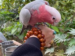 -南宫五洲植物乐园