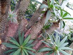 -南通洲际绿博园