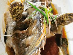 清蒸老虎斑-范饭椰林川湘味海鲜·椰子鸡(三亚湾椰梦长廊店)