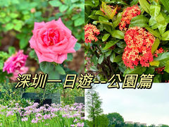 -香蜜公园