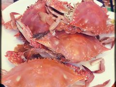 -海岛渔村大酒店(云霄路店)