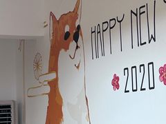 -柴迷FANS CLUB·柴犬狗咖·猫咖