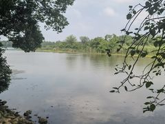 -东湖落雁景区