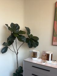 -安吉拉·纤纤玉指美甲美睫创意中心