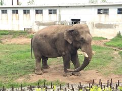秦岭野生动物园-西安秦岭野生动物园
