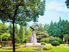 -上海财经大学(国定路校区)