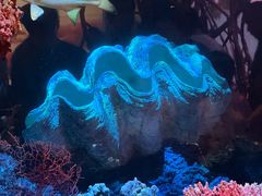 -中国湿地博物馆