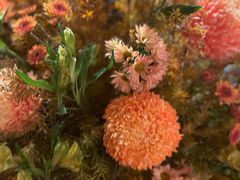 -君悦酒店·La Terrazza意合園·意式风味