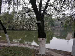 -西南交通大学(九里校区)