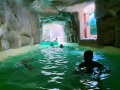 -杭州开元森泊度假乐园