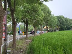 -金稼园·金平湖农家菜