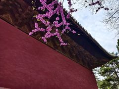 -永乐宫
