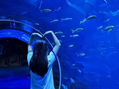 -威海华夏城景区